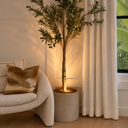 BladSpot — richt het licht precies op je mooiste plant