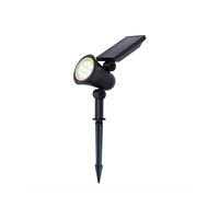 Wit licht